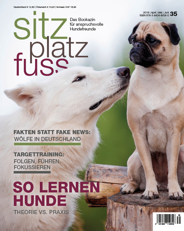 SitzPlatzFuss 35 Cover