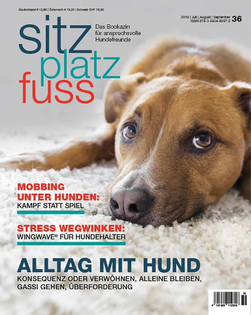 SitzPlatzFuss 36 COVER