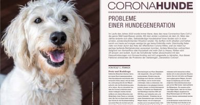 Coronahunde – Probleme einer Hundegeneration