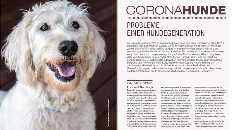 Coronahunde – Probleme einer Hundegeneration
