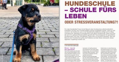 Hundeschule – Schule fürs Leben oder Stressveranstaltung?!