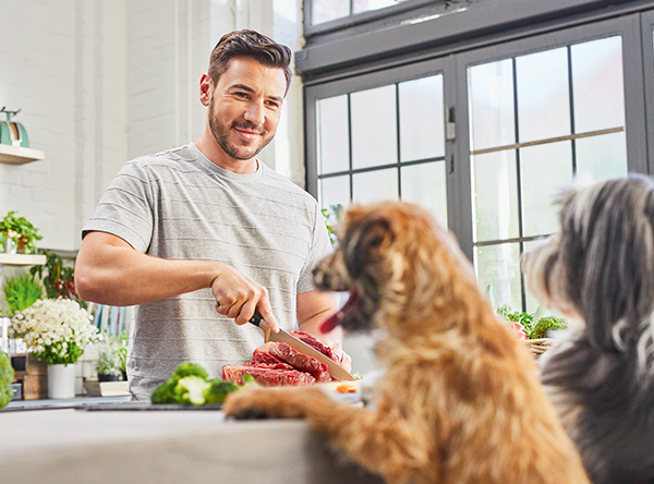 Clean Eating: So funktioniert der gesunde Ernährungstrend auch für Hunde