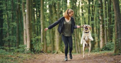 Orale Gabe von Hyaluronsäure, Kollagen und Chondroitinsulfat: Nutzen und Wirkung auf die Funktionsfähigkeit von beanspruchten Hunde-Gelenken